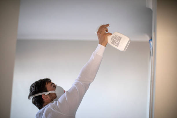 Best Office Mold Removal Services  in Cherryvale, KS