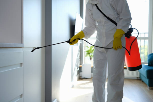 Best Mold Damage Repair  in Cherryvale, KS