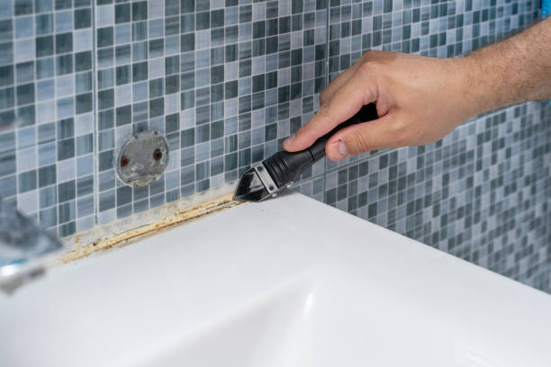 Home Mold Removal in Cherryvale, KS