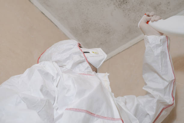 Best Same-Day Mold Removal  in Cherryvale, KS
